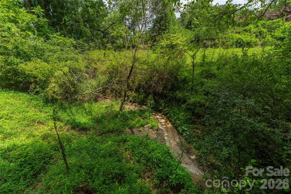 99999 Little Bo Lane Leicester, NC 28748