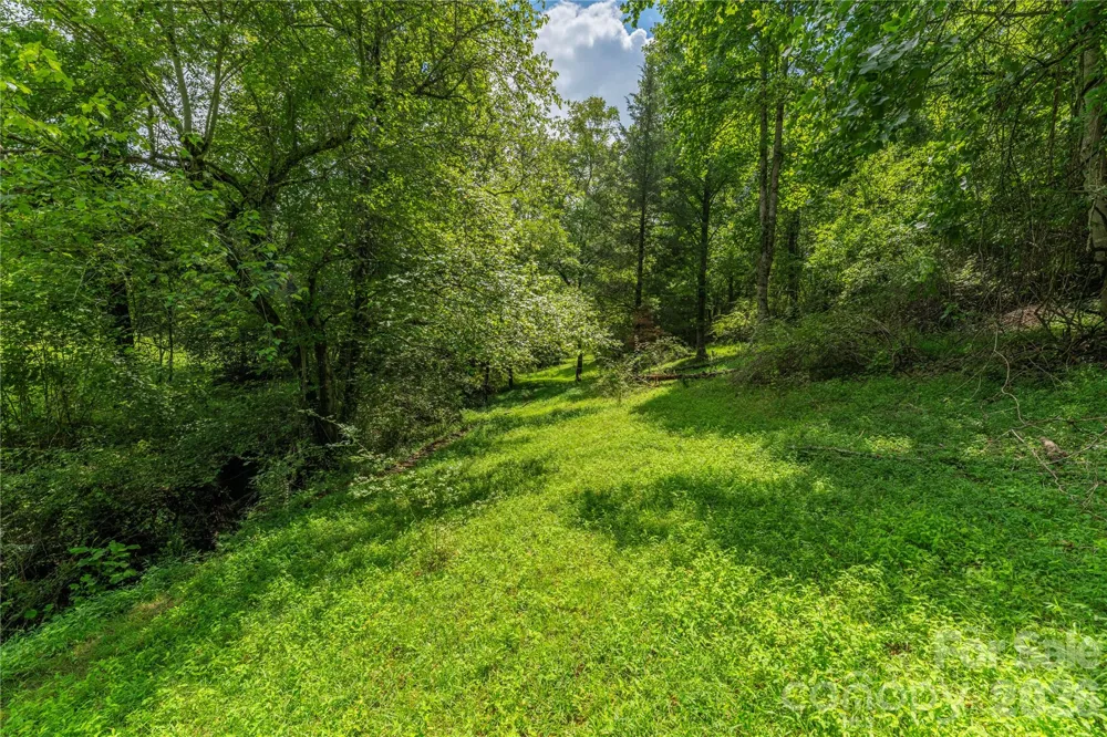 99999 Little Bo Lane Leicester, NC 28748