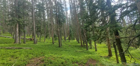 Lot 6542 Schlueter Road