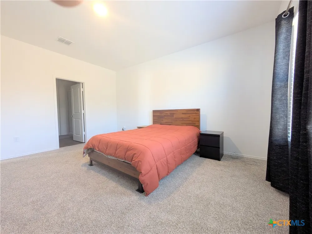 12109 Monarch Wing Drive Buda, TX 78610
