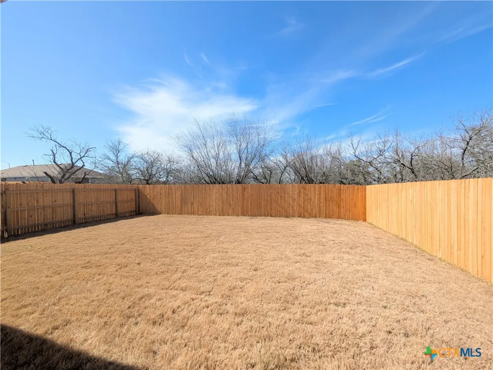 12109 Monarch Wing Drive Buda, TX 78610