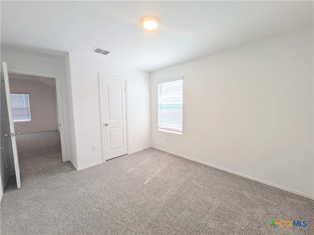 12109 Monarch Wing Drive Buda, TX 78610