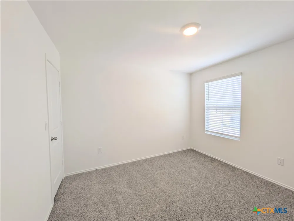 12109 Monarch Wing Drive Buda, TX 78610