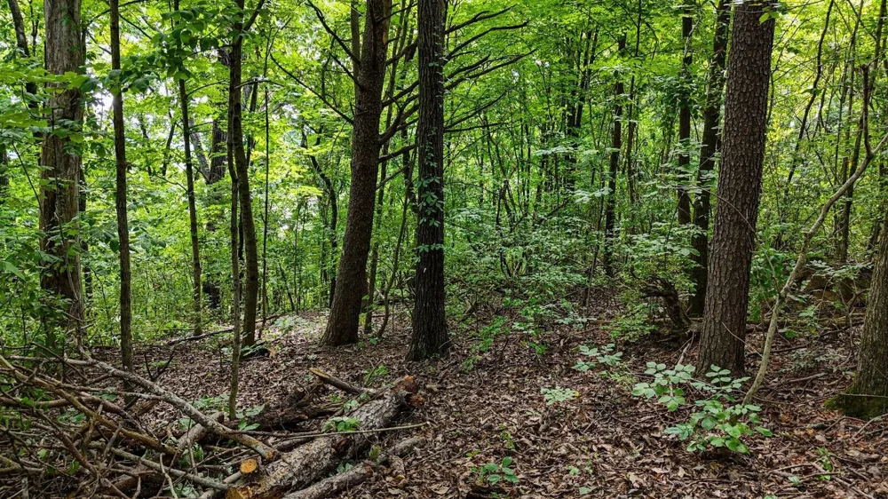 5064 Hunter Trail Hixson, TN 37343