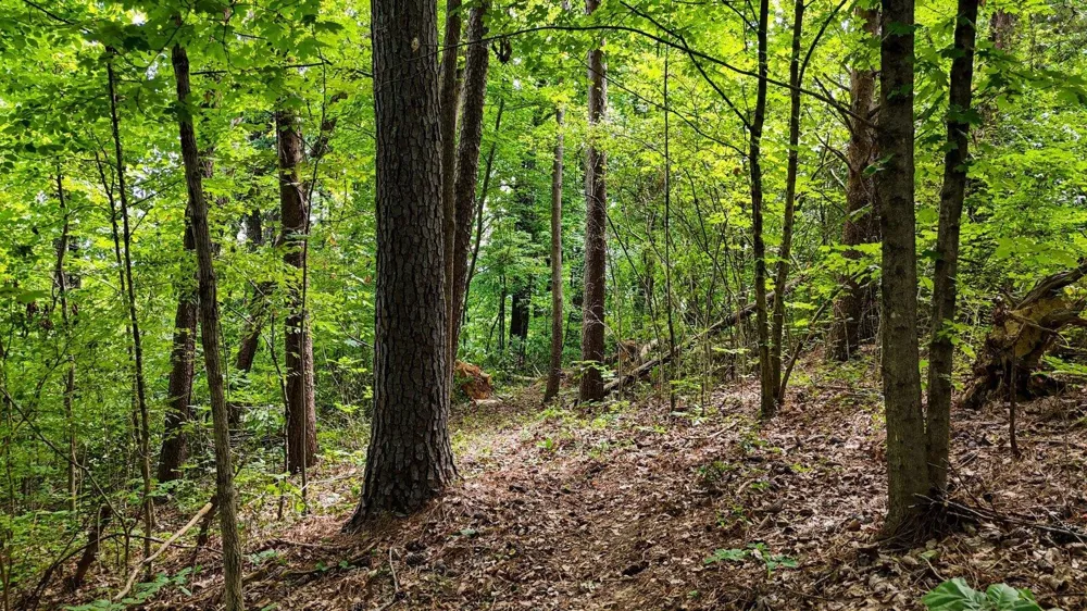 5064 Hunter Trail Hixson, TN 37343