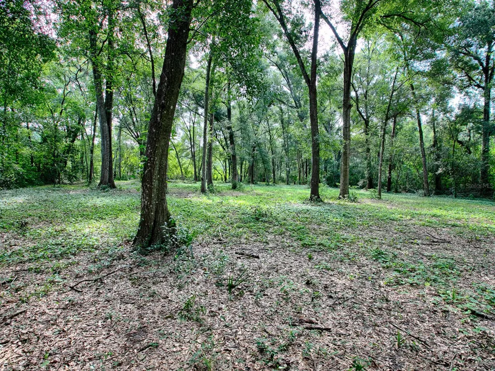 4905 PLYMOUTH SORRENTO ROAD Apopka, FL 32712