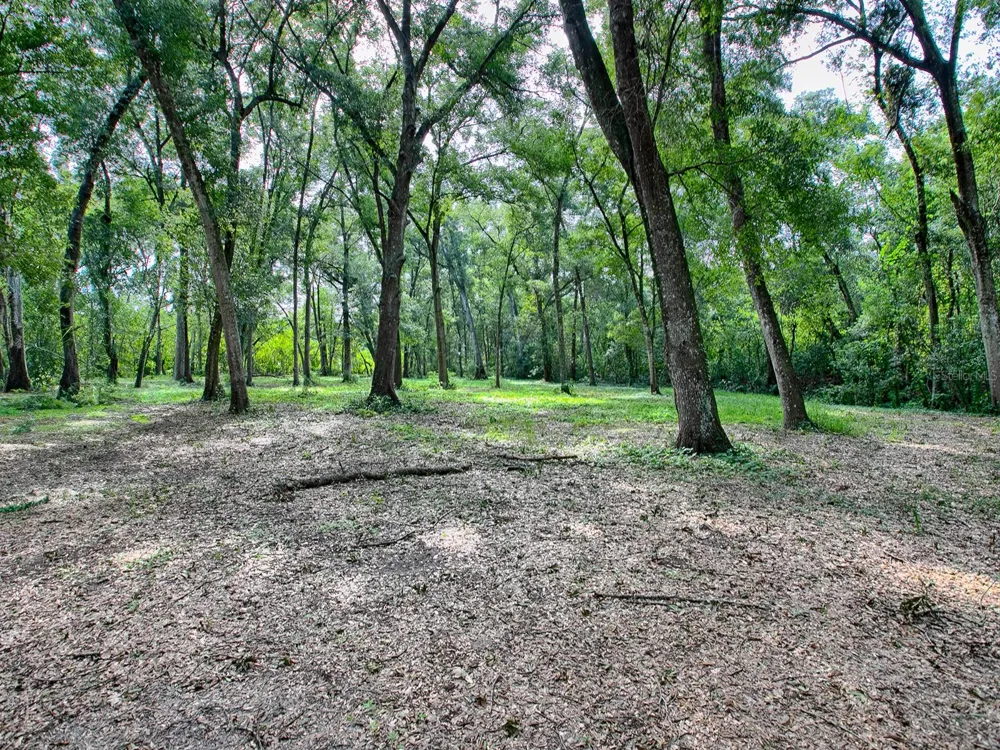 4905 PLYMOUTH SORRENTO ROAD Apopka, FL 32712
