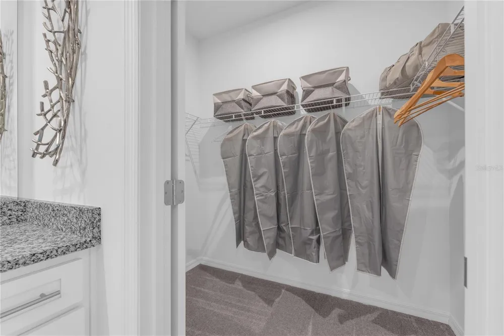 10165 MORNING MEADOWLARK TRAIL Parrish, FL 34219