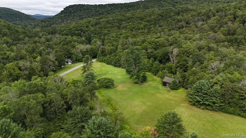 426 Basket Road Long Eddy, NY 12760