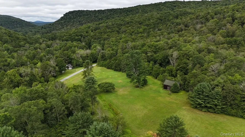 426 Basket Road Long Eddy, NY 12760