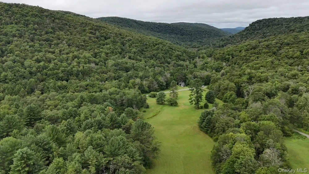 426 Basket Road Long Eddy, NY 12760