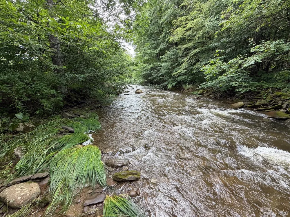 426 Basket Road Long Eddy, NY 12760