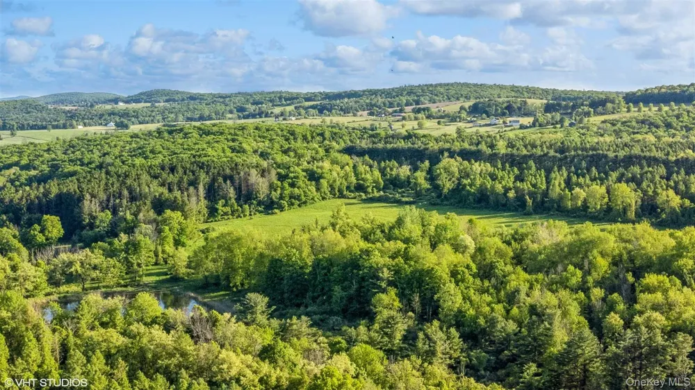 SKUNKS MISERY Lot 3 Road Millerton, NY 12546