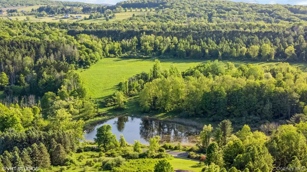 SKUNKS MISERY Lot 3 Road Millerton, NY 12546