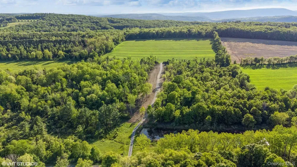 SKUNKS MISERY Lot 3 Road Millerton, NY 12546