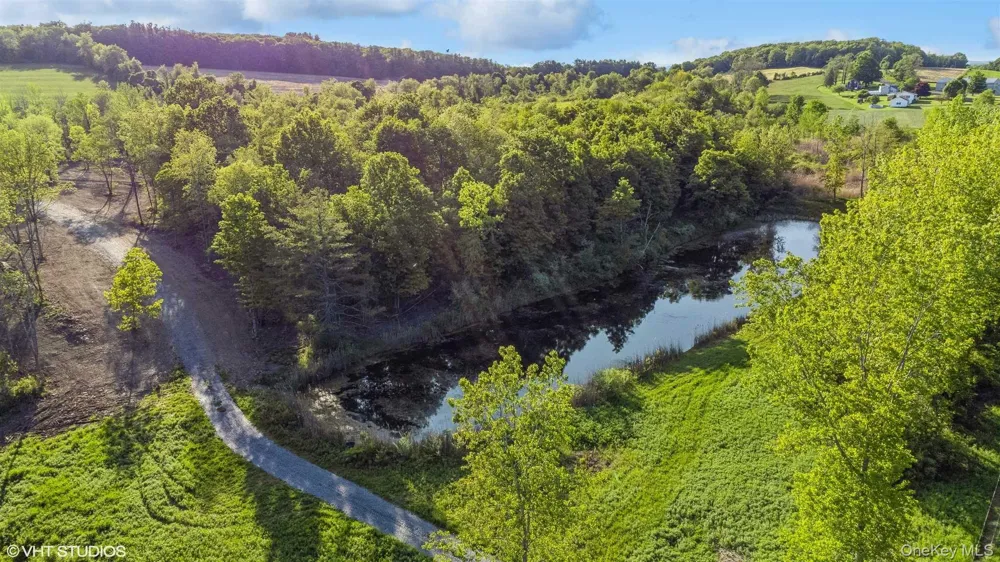 SKUNKS MISERY Lot 3 Road Millerton, NY 12546