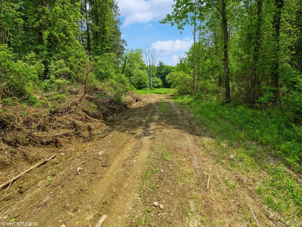 SKUNKS MISERY Lot 3 Road Millerton, NY 12546
