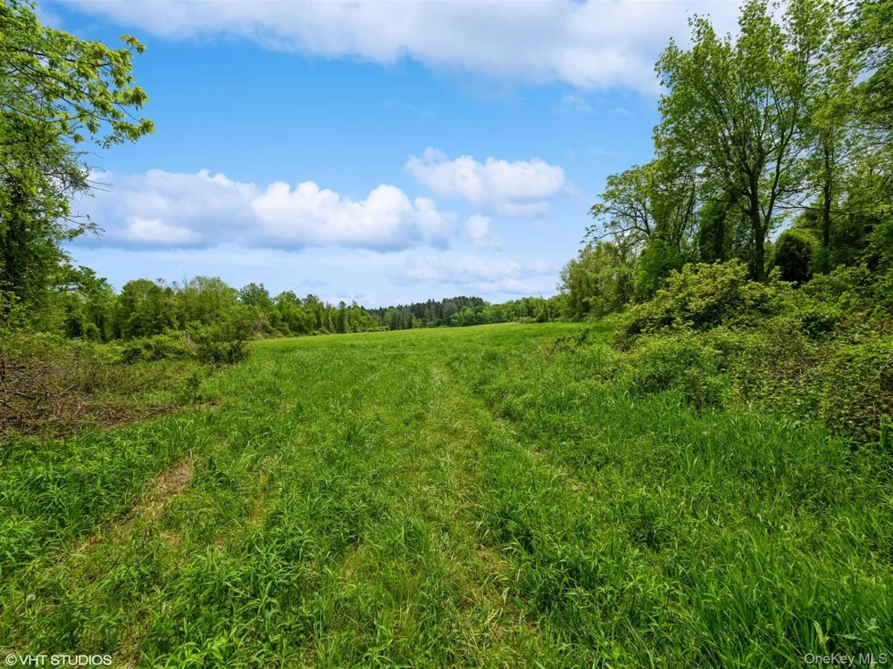 SKUNKS MISERY Lot 3 Road Millerton, NY 12546