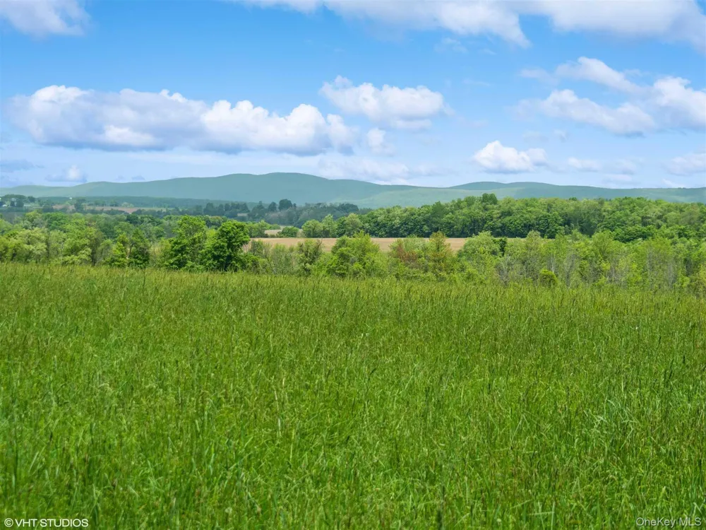 SKUNKS MISERY Lot 3 Road Millerton, NY 12546
