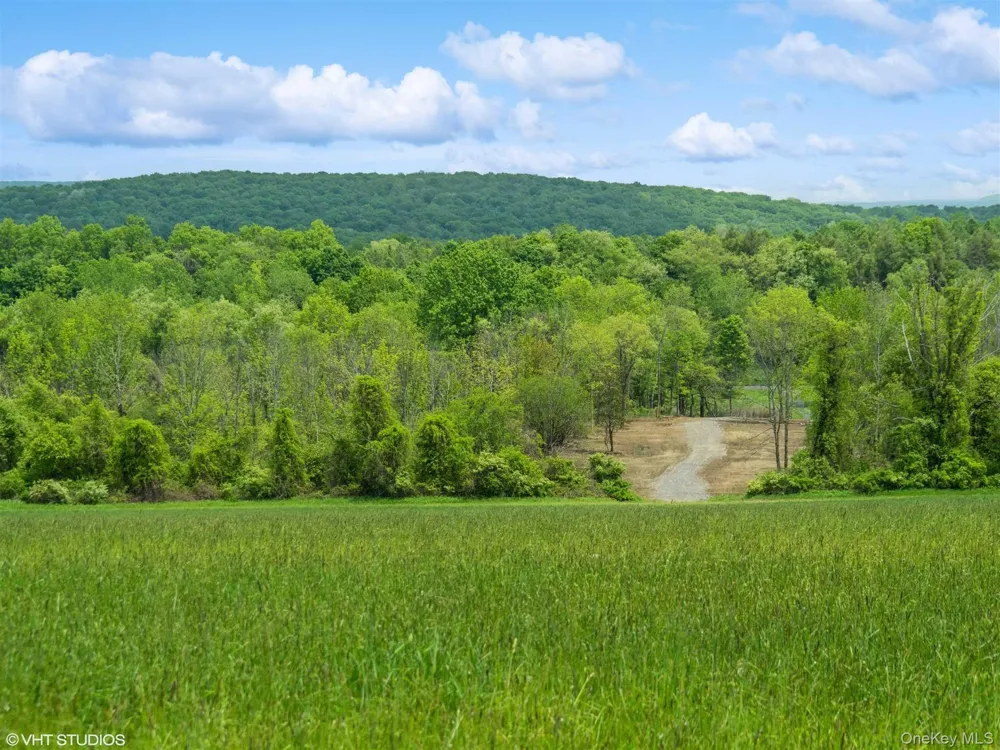 SKUNKS MISERY Lot 3 Road Millerton, NY 12546