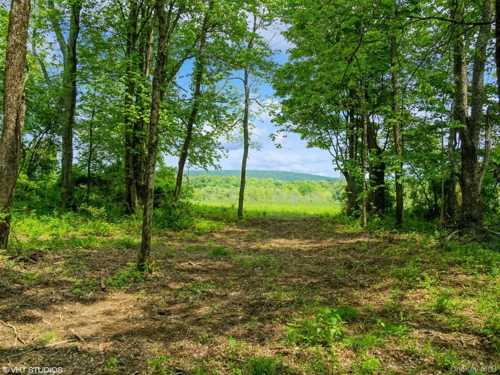SKUNKS MISERY Lot 3 Road Millerton, NY 12546