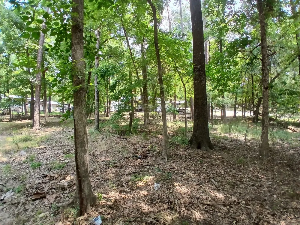 PR 52606 Pittsburg, TX 75686