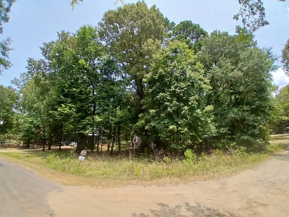 PR 52606 Pittsburg, TX 75686