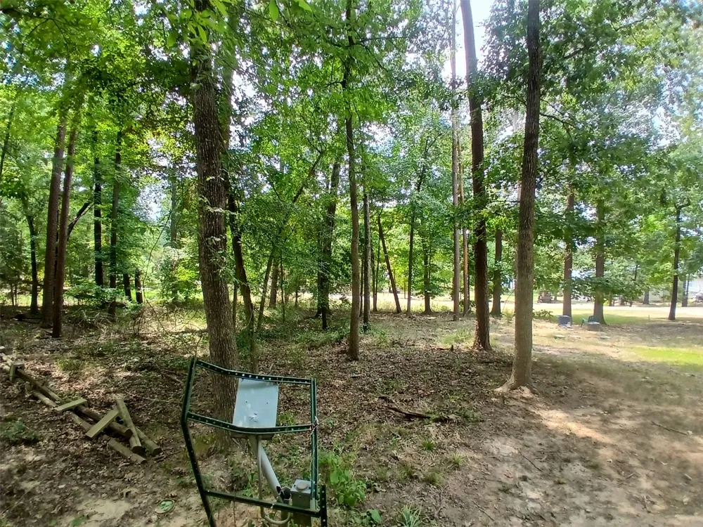 PR 52606 Pittsburg, TX 75686