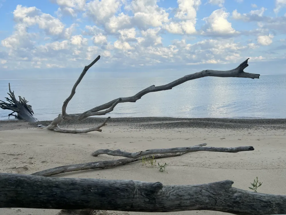 7188 E Beach Drive South Haven, MI 49090