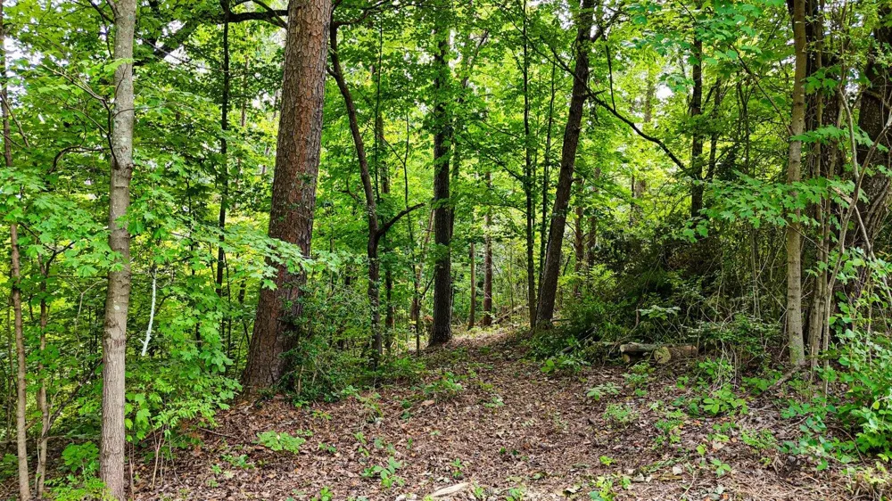 5064 Hunter Trail Hixson, TN 37343