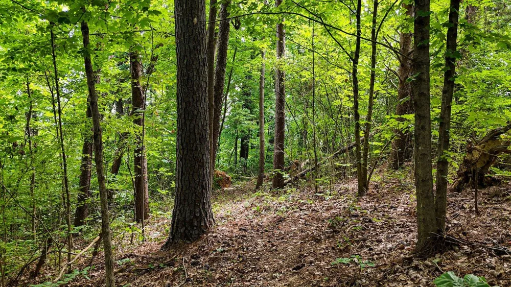 5064 Hunter Trail Hixson, TN 37343