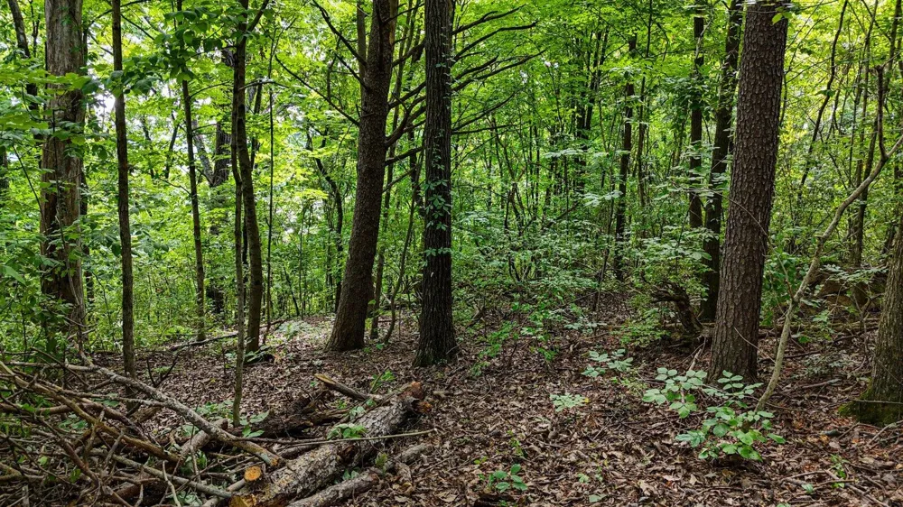 5064 Hunter Trail Hixson, TN 37343