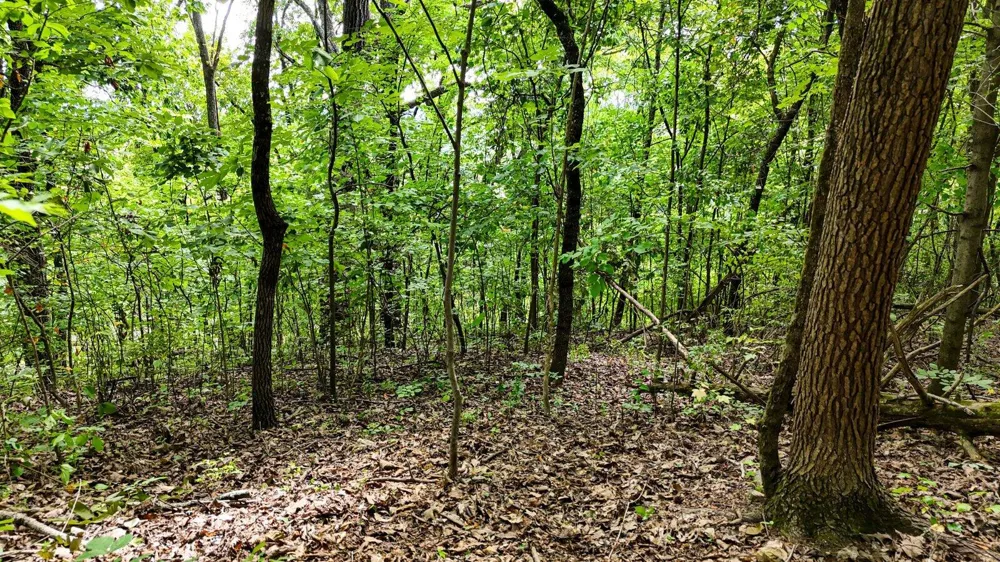 5064 Hunter Trail Hixson, TN 37343