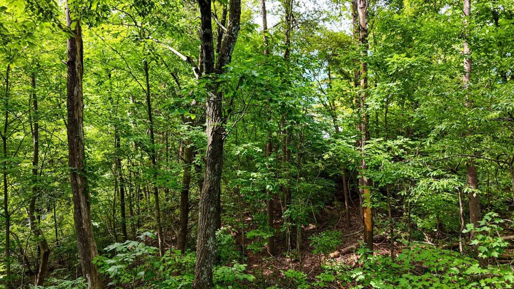 5064 Hunter Trail Hixson, TN 37343