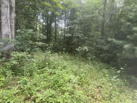 0 Camp Creek Estates Drive