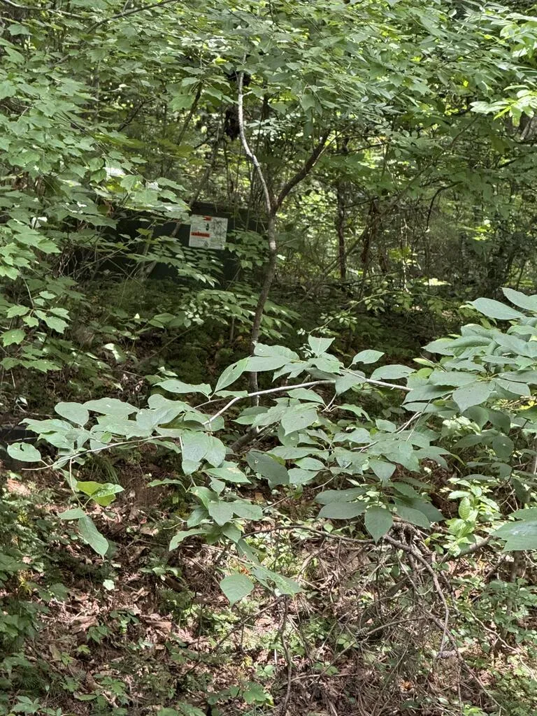 0 Camp Creek Estates Drive Murphy, NC 28906