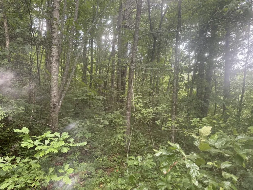 0 Camp Creek Estates Drive Murphy, NC 28906