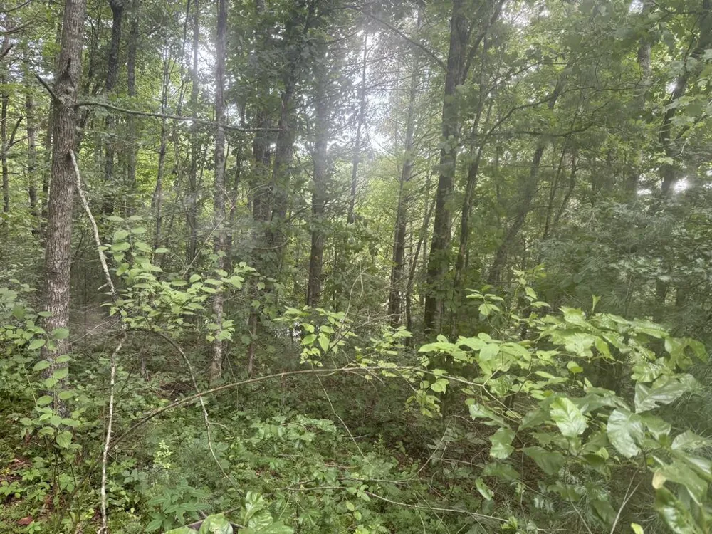 0 Camp Creek Estates Drive Murphy, NC 28906