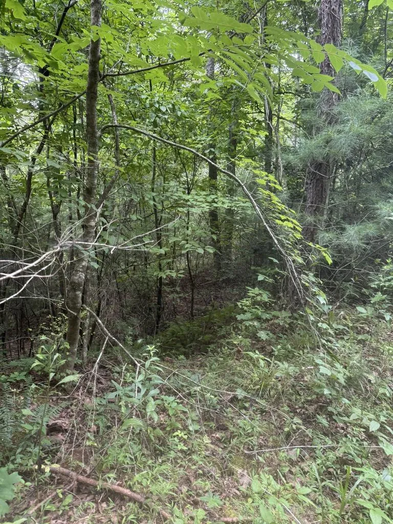 0 Camp Creek Estates Drive Murphy, NC 28906