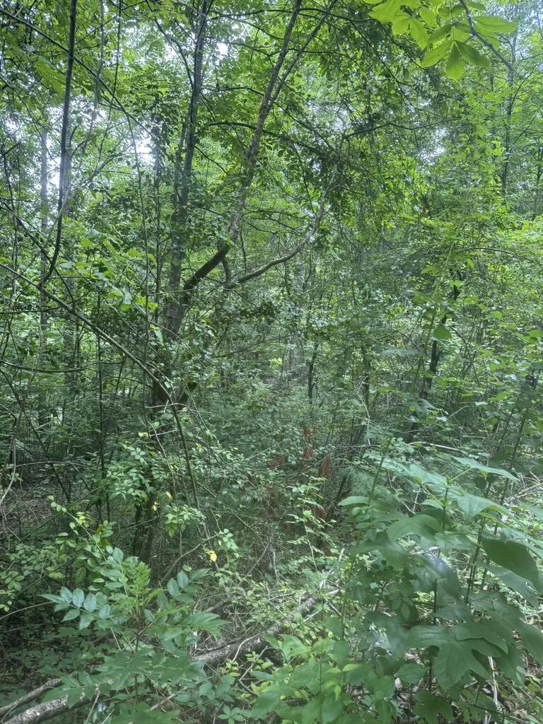 0 Camp Creek Estates Drive Murphy, NC 28906