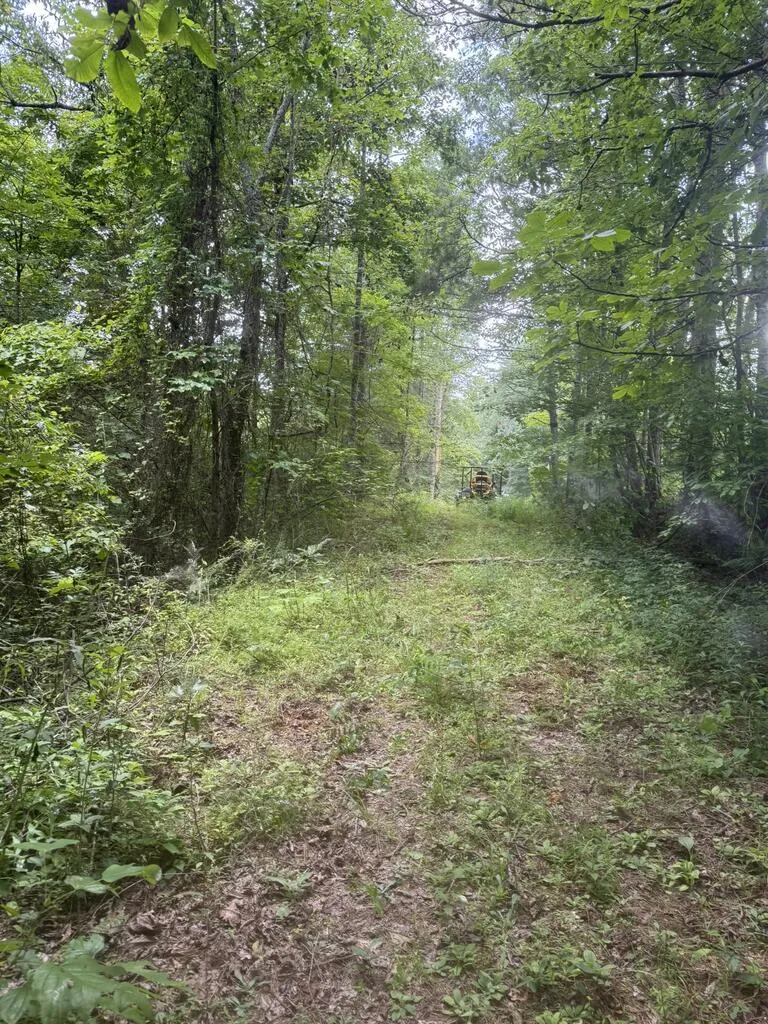 0 Camp Creek Estates Drive Murphy, NC 28906
