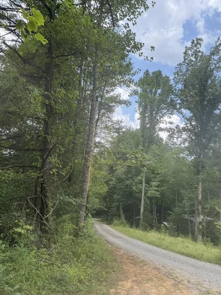 0 Camp Creek Estates Drive Murphy, NC 28906