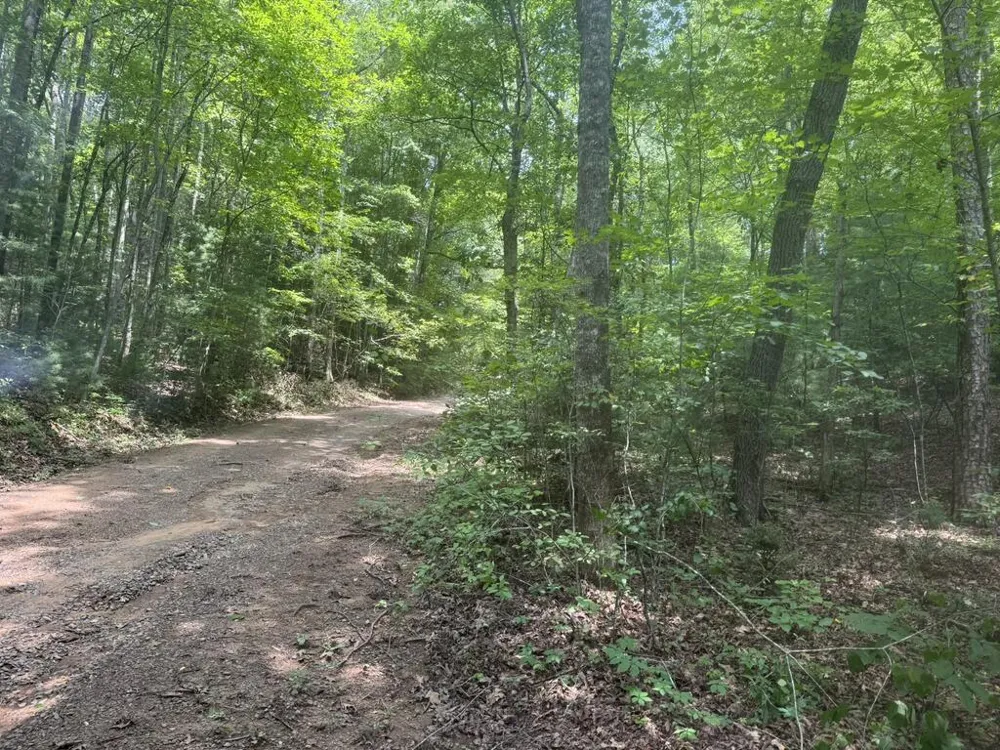 0 Camp Creek Estates Drive Murphy, NC 28906