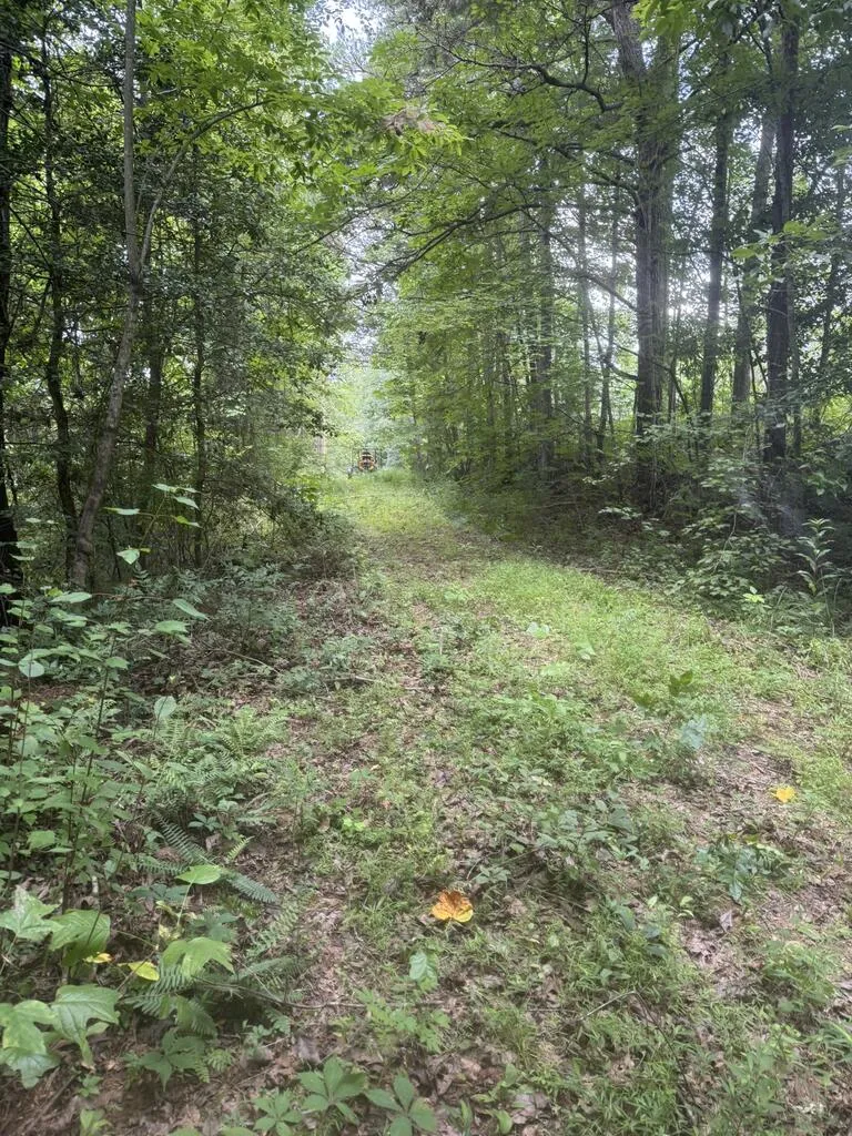 0 Camp Creek Estates Drive Murphy, NC 28906