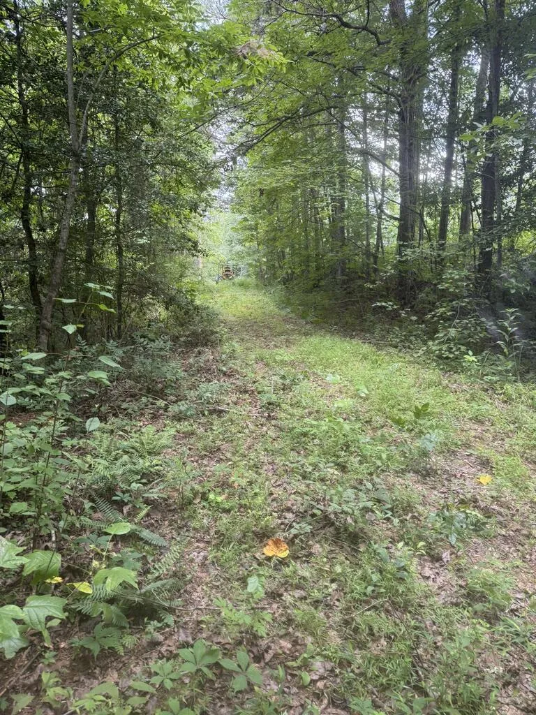 0 Camp Creek Estates Drive Murphy, NC 28906