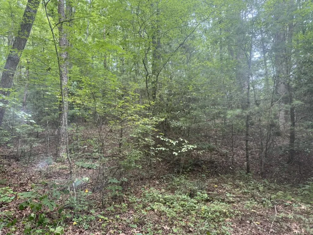 0 Camp Creek Estates Drive Murphy, NC 28906