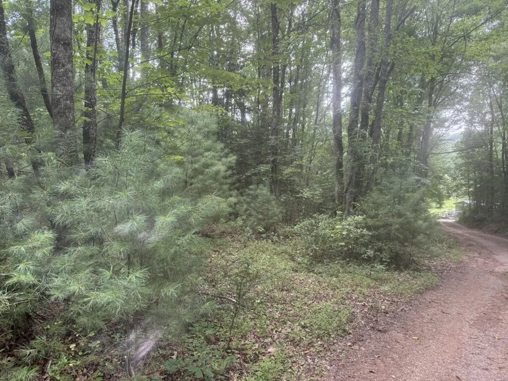 0 Camp Creek Estates Drive Murphy, NC 28906