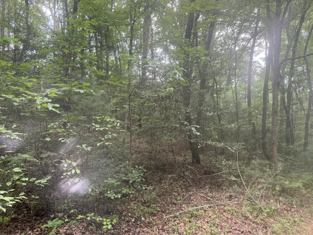 0 Camp Creek Estates Drive Murphy, NC 28906