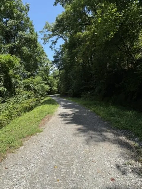 Windsong Mountain Dr