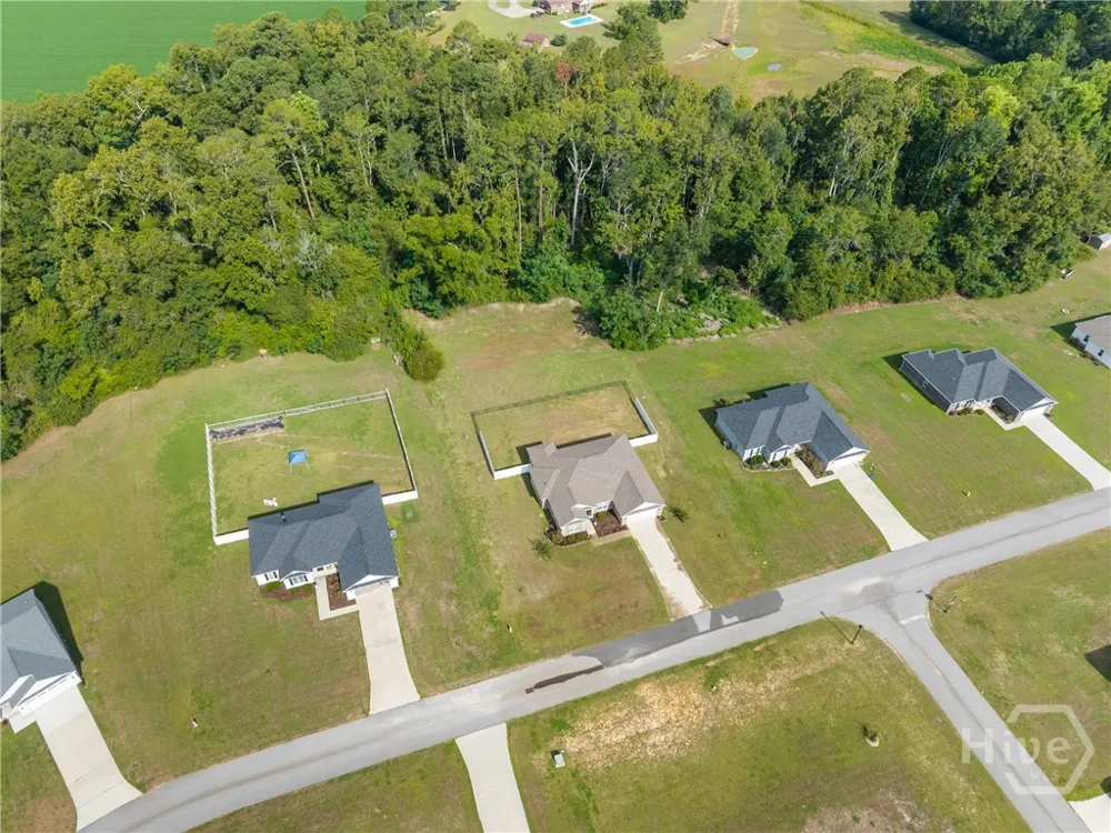 221 Fallen Leaf Drive Brooklet, GA 30415